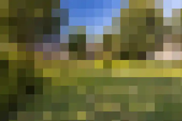 Ophoven 53 Sittard thumbnail 8