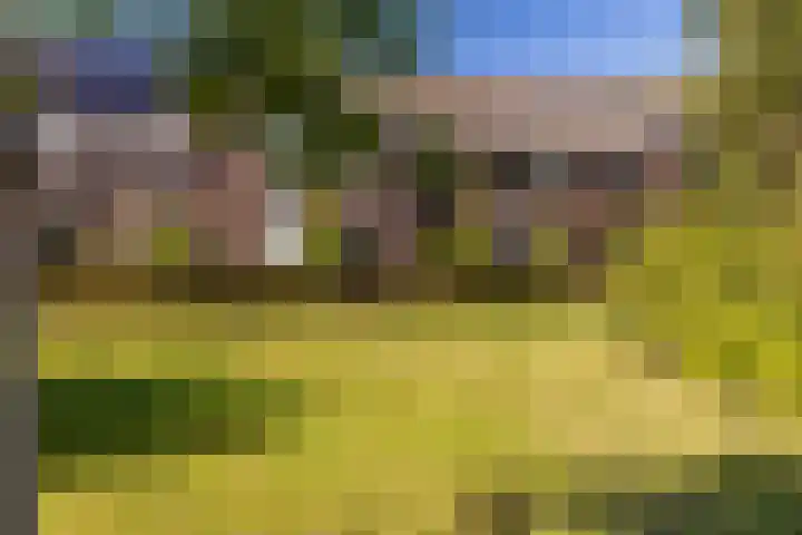 Ophoven 53 Sittard thumbnail 9