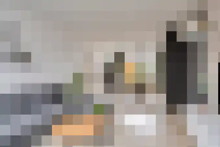 Ophoven 70 Sittard thumbnail 12