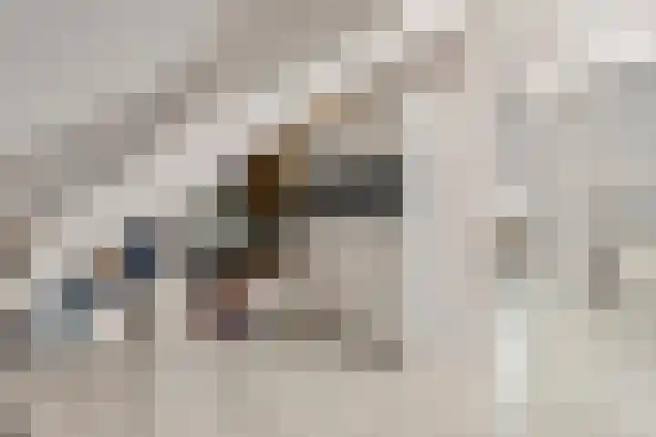 Ophoven 70 Sittard thumbnail 26