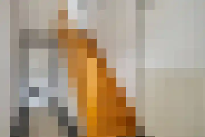 Ophoven 77 Sittard thumbnail 12