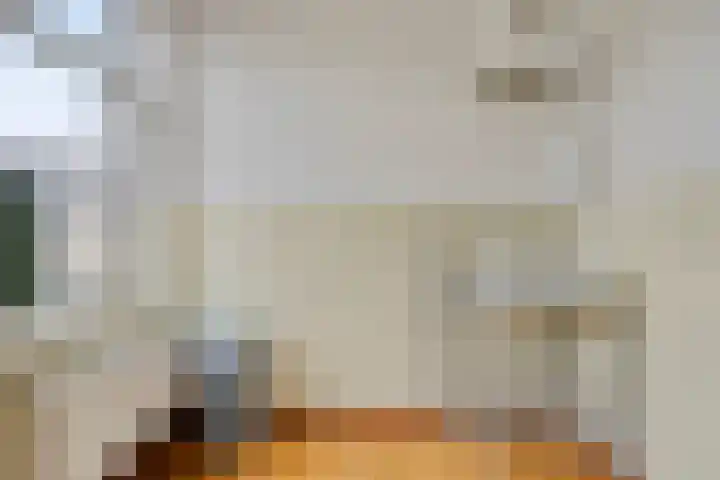 Ophoven 77 Sittard thumbnail 15