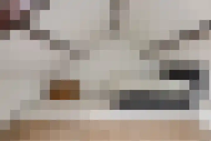 Ophoven 77 Sittard thumbnail 22