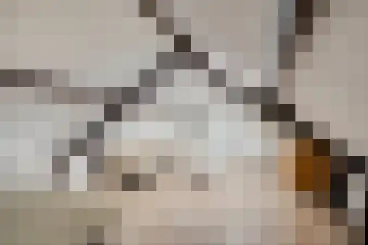 Ophoven 77 Sittard thumbnail 23