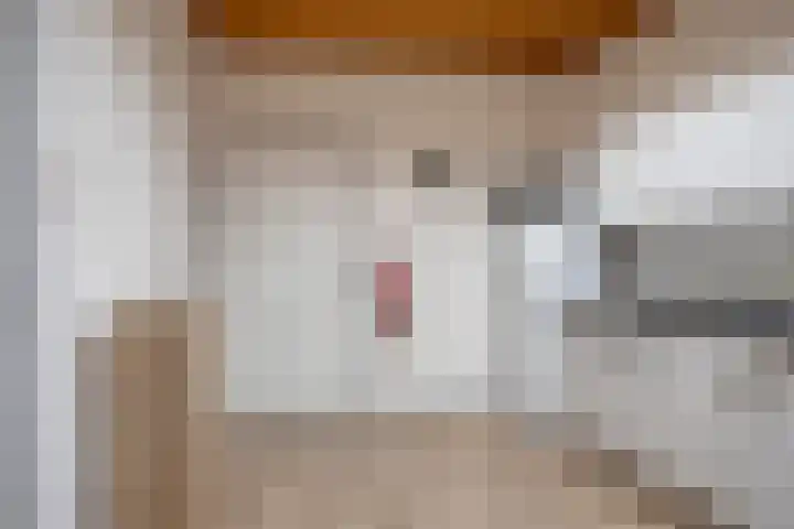 Ophoven 77 Sittard thumbnail 25