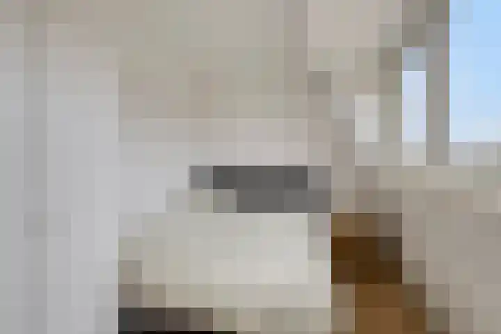 Ophoven 77 Sittard thumbnail 30
