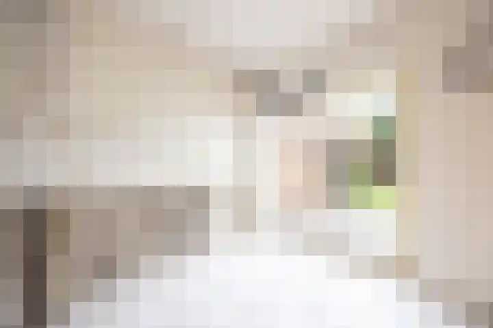 Ophoven 77 Sittard thumbnail 35