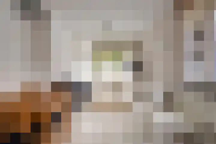 Ophoven 77 Sittard thumbnail 36