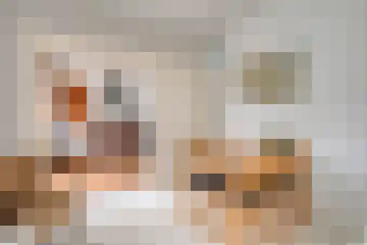 Ophoven 77 Sittard thumbnail 39