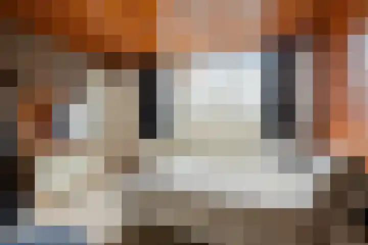 Ophoven 77 Sittard thumbnail 41