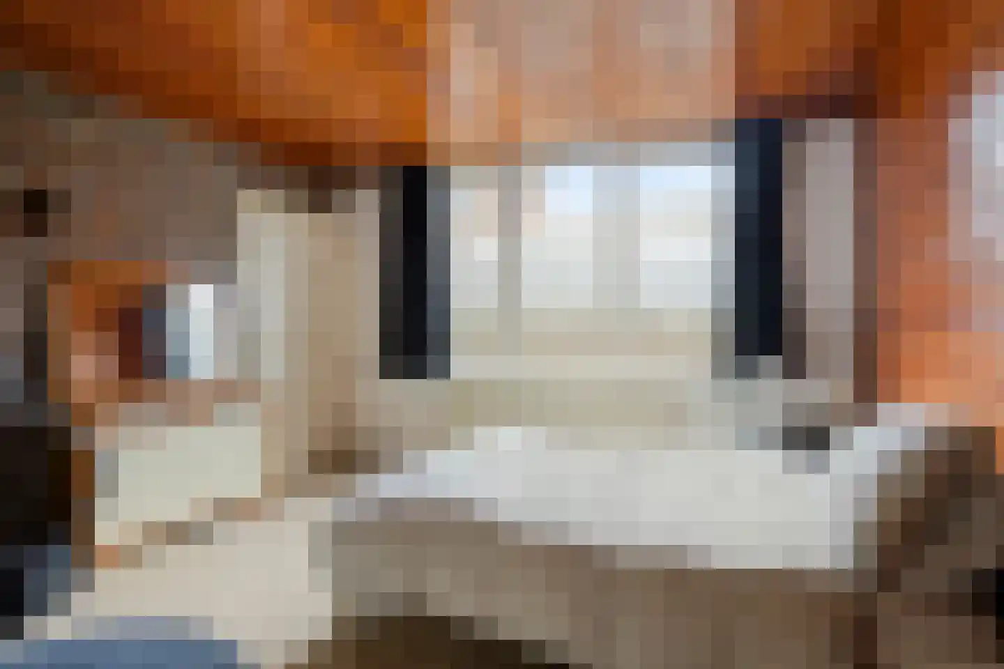 Ophoven 77 Sittard thumbnail 41