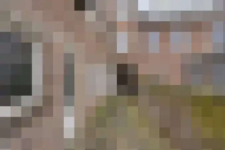 Ophoven 77 Sittard thumbnail 46
