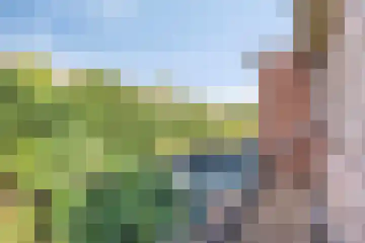Ophoven 77 Sittard thumbnail 52