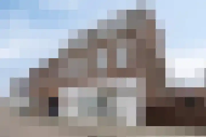 Ophoven 77 Sittard thumbnail 7