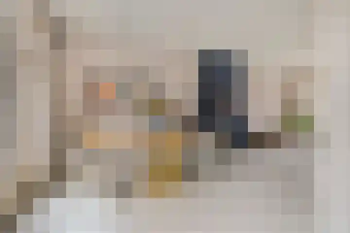 Ophoviuslaan 18 's-Hertogenbosch thumbnail 10