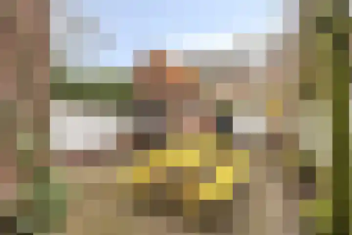 Ophoviuslaan 18 's-Hertogenbosch thumbnail 12