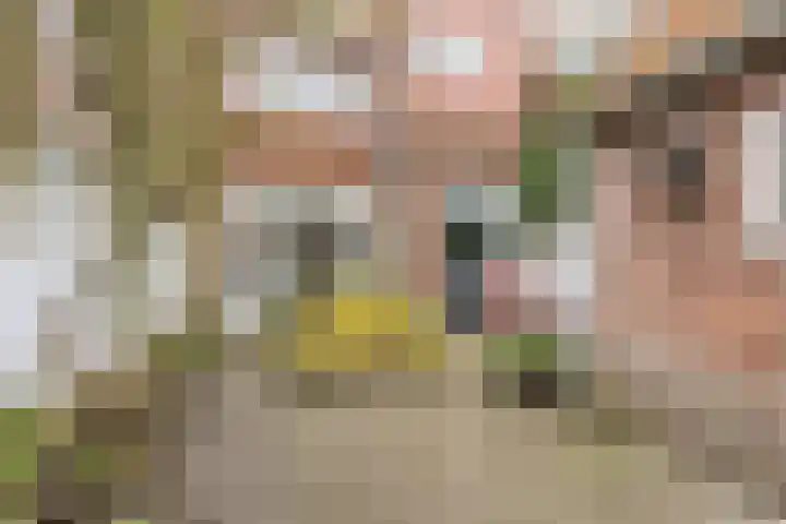 Ophoviuslaan 18 's-Hertogenbosch thumbnail 14