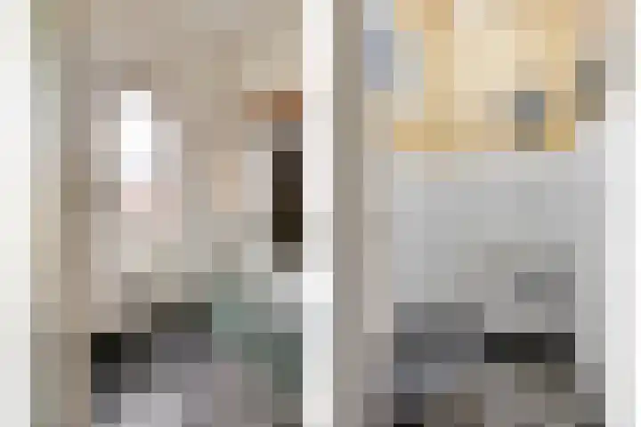 Ophoviuslaan 18 's-Hertogenbosch thumbnail 15