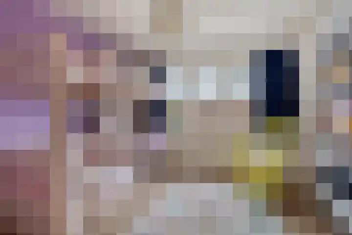 Ophoviuslaan 18 's-Hertogenbosch thumbnail 17