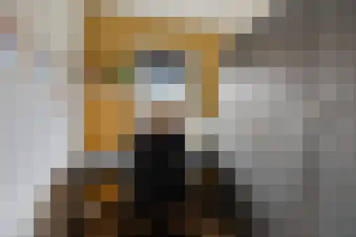 Ophoviuslaan 18 's-Hertogenbosch thumbnail 21