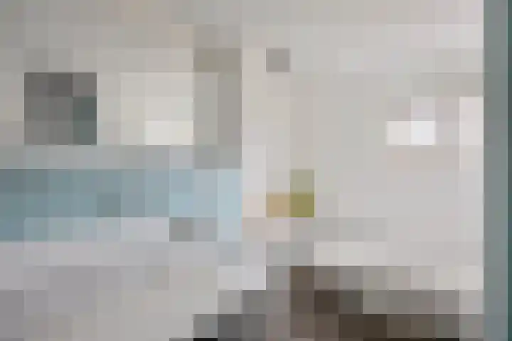 Ophoviuslaan 18 's-Hertogenbosch thumbnail 23