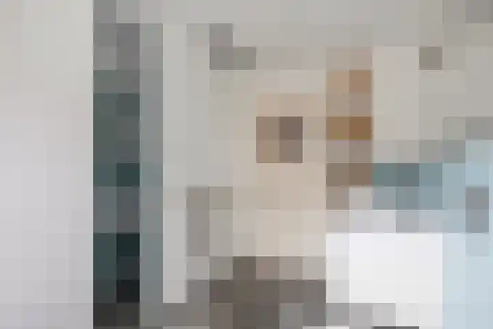Ophoviuslaan 18 's-Hertogenbosch thumbnail 24
