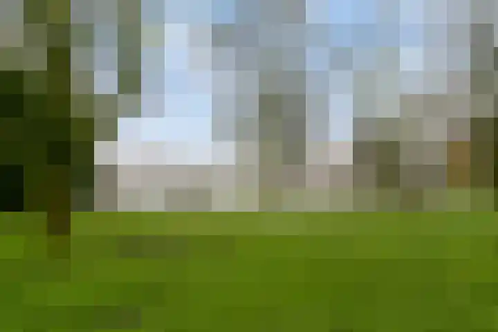 Ophoviuslaan 18 's-Hertogenbosch thumbnail 33