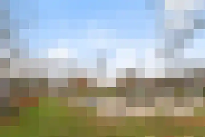 Ophoviuslaan 18 's-Hertogenbosch thumbnail 35