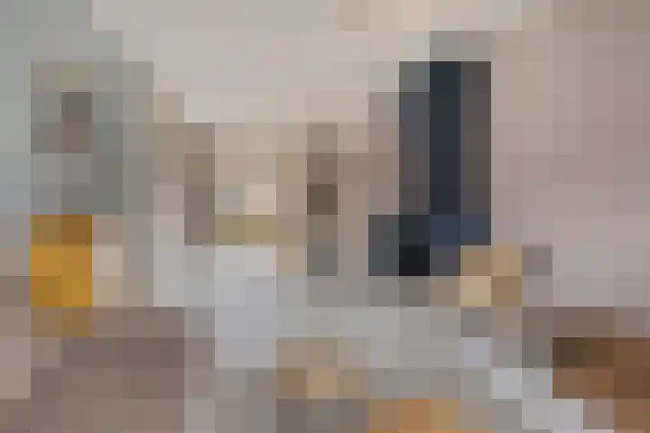 Ophoviuslaan 18 's-Hertogenbosch thumbnail 5