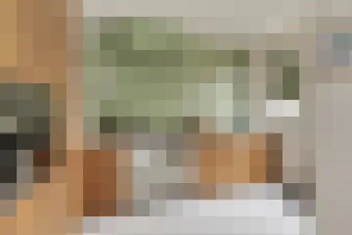 Ophoviuslaan 18 's-Hertogenbosch thumbnail 7
