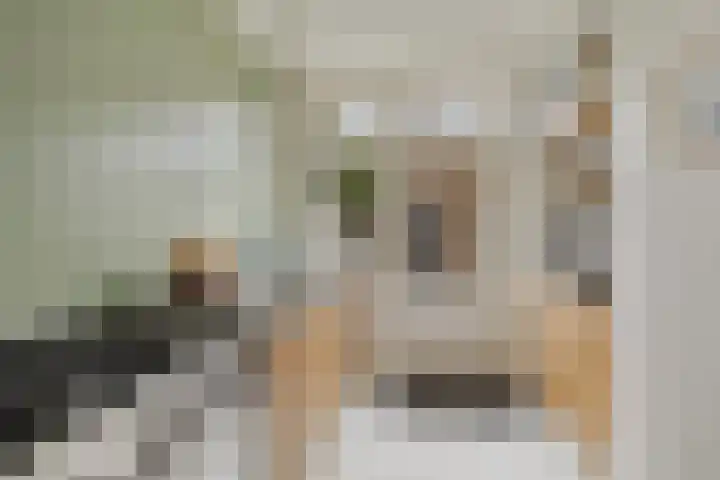 Ophoviuslaan 18 's-Hertogenbosch thumbnail 8