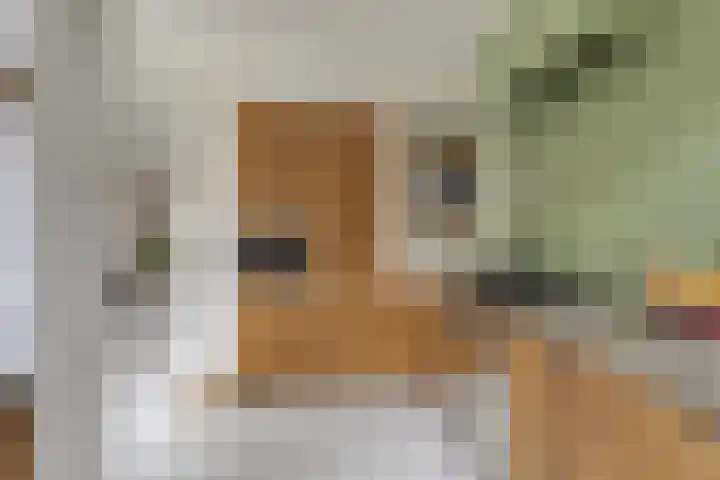 Ophoviuslaan 18 's-Hertogenbosch thumbnail 9