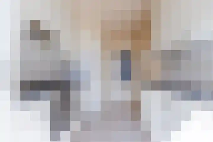 Ophoviusstraat 14 Geldrop thumbnail 13
