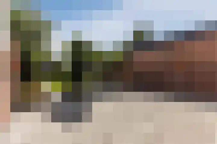 Ophoviusstraat 14 Geldrop thumbnail 14