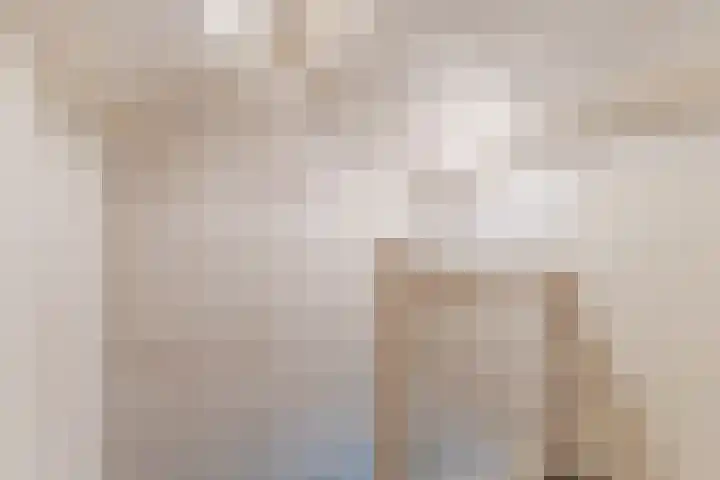 Ophoviusstraat 14 Geldrop thumbnail 33