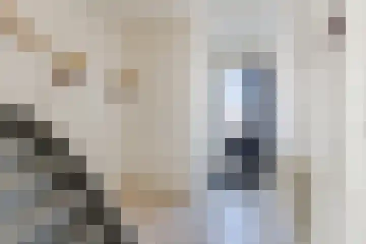Ophoviusstraat 14 Geldrop thumbnail 6