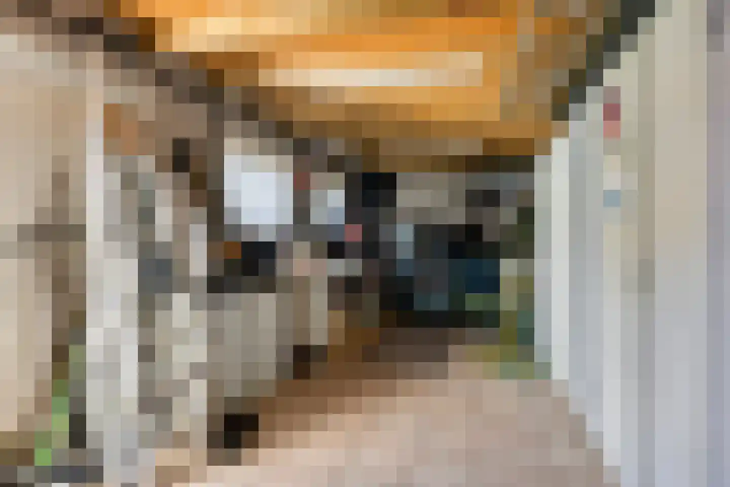 Ophoviusstraat 3 Geldrop thumbnail 32