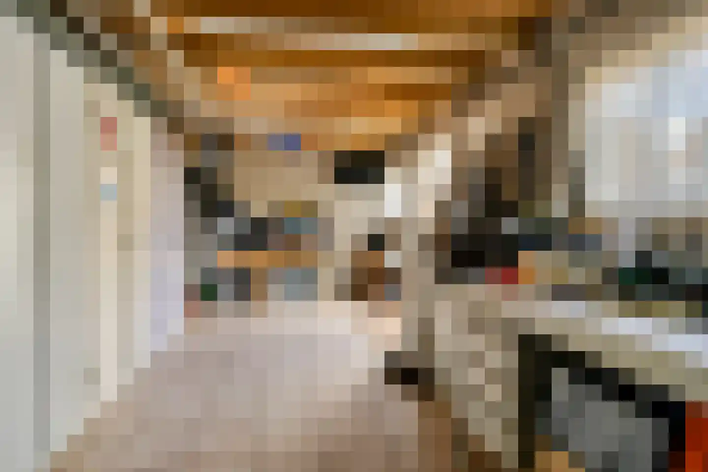 Ophoviusstraat 3 Geldrop thumbnail 33