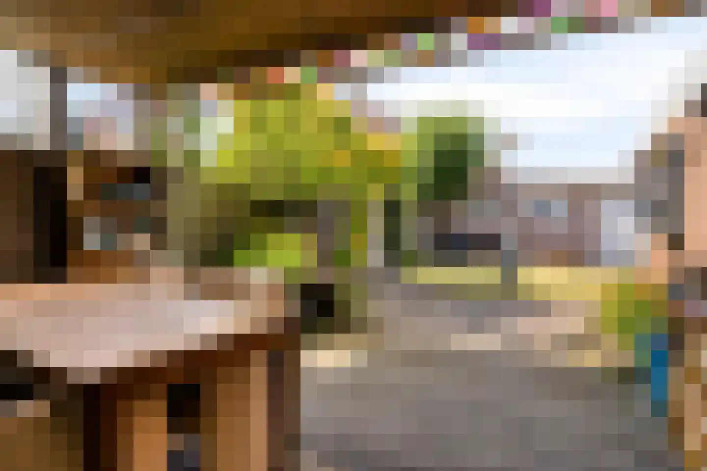 Ophoviusstraat 3 Geldrop thumbnail 4