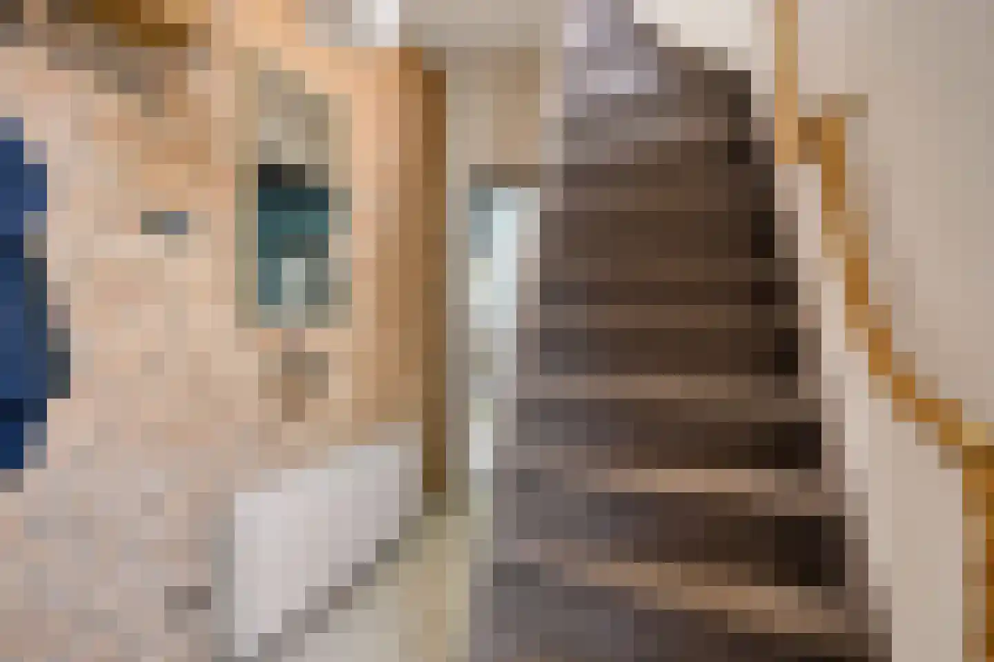 Ophoviusstraat 3 Geldrop thumbnail 8