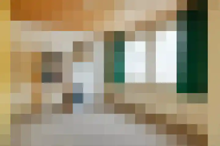 Ophoviusstraat 7 Heesch thumbnail 12
