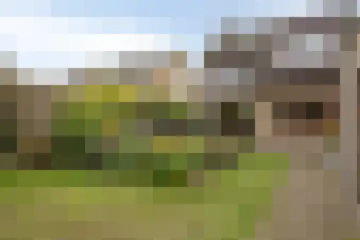 Ophoviusstraat 7 Heesch thumbnail 18