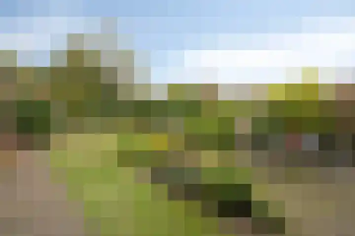 Ophoviusstraat 7 Heesch thumbnail 19