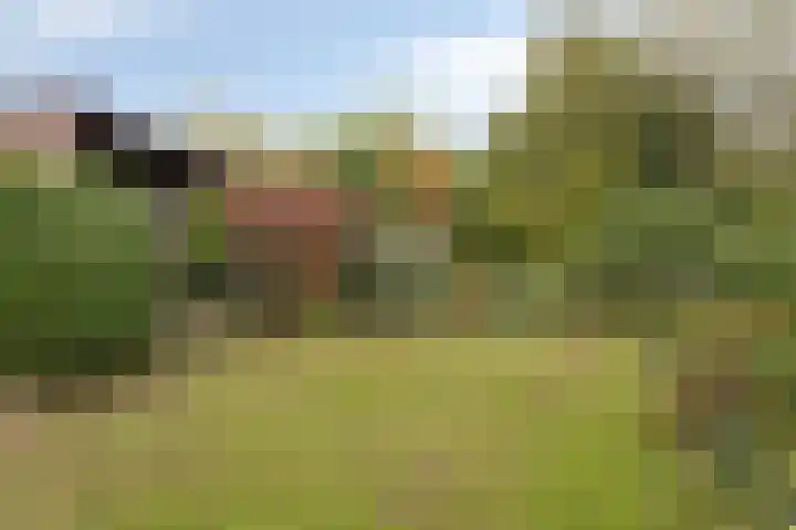 Ophoviusstraat 7 Heesch thumbnail 20