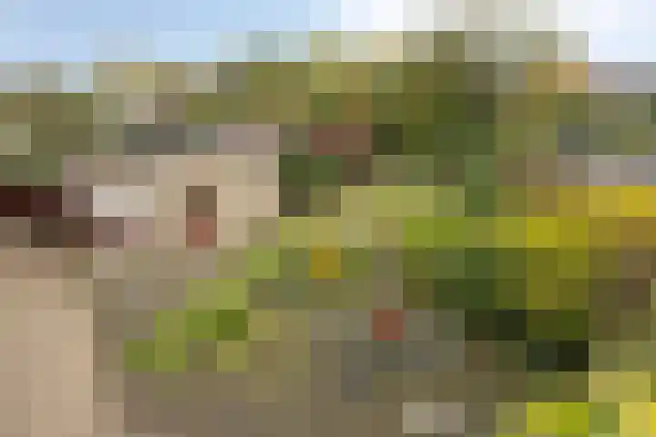 Ophoviusstraat 7 Heesch thumbnail 21