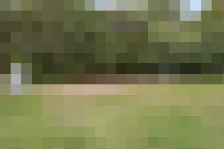 Ophoviusstraat 7 Heesch thumbnail 26