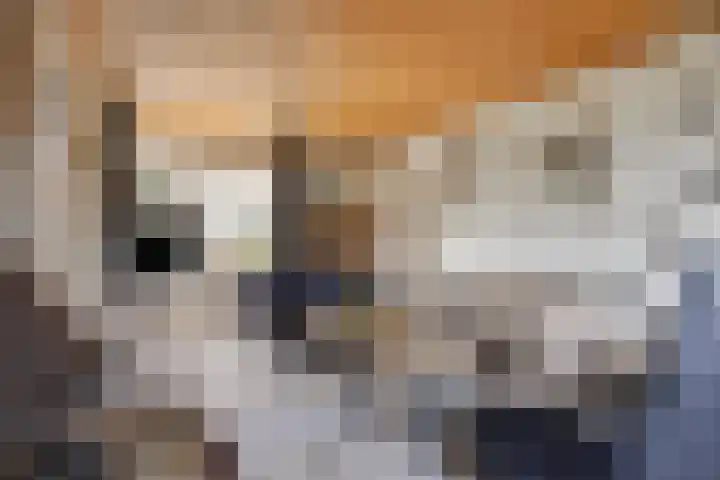 Ophoviusstraat 7 Heesch thumbnail 5