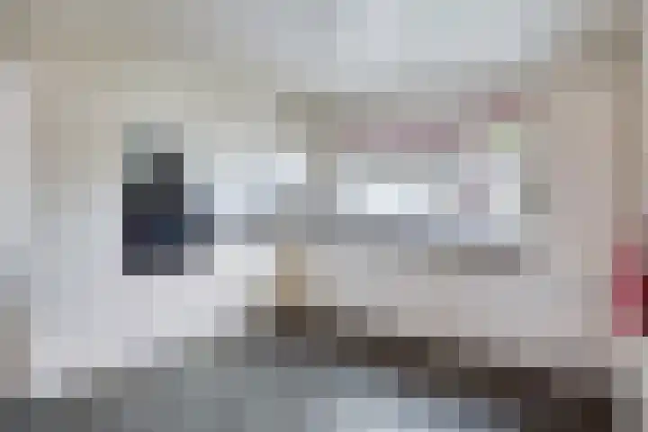Ophoviusstraat 7 Heesch thumbnail 6