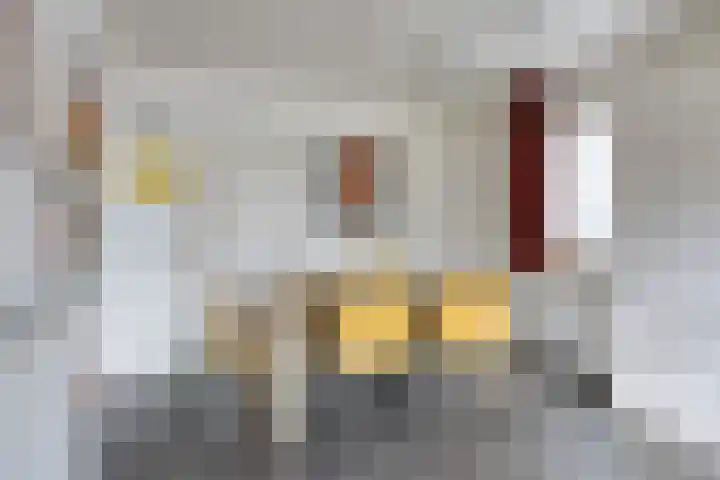 Ophoviusstraat 7 Heesch thumbnail 8