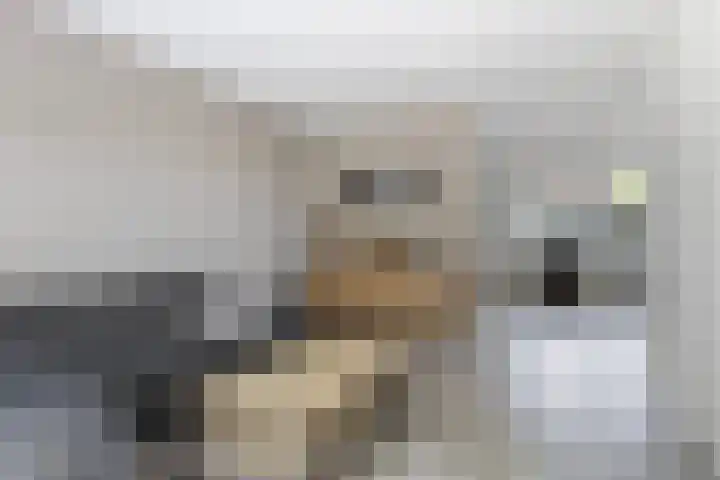 Ophuystrawei 23 Driezum thumbnail 14